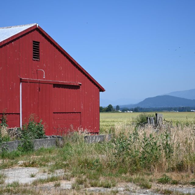 For one of my country songs (that will be out later this fall), I would like to use a local, pretty red barn for the album cover.

Yesterday, I took a bunch of pictures of this barn (after getting permission from a really nice lady named Debbie who thought I was the Amazon delivery guy at first and couldn't figure out why there was no package on her front porch 😂), but like my husband said when I showed him the 50 or so pictures I took from all angles, "That's a shed." 😉

I also have a message in to one of my cowboy friends, but thought I'd put this out there. Thanks, y'all.
 
#songwriterlife
#shoplocal
#prettyredbarn
